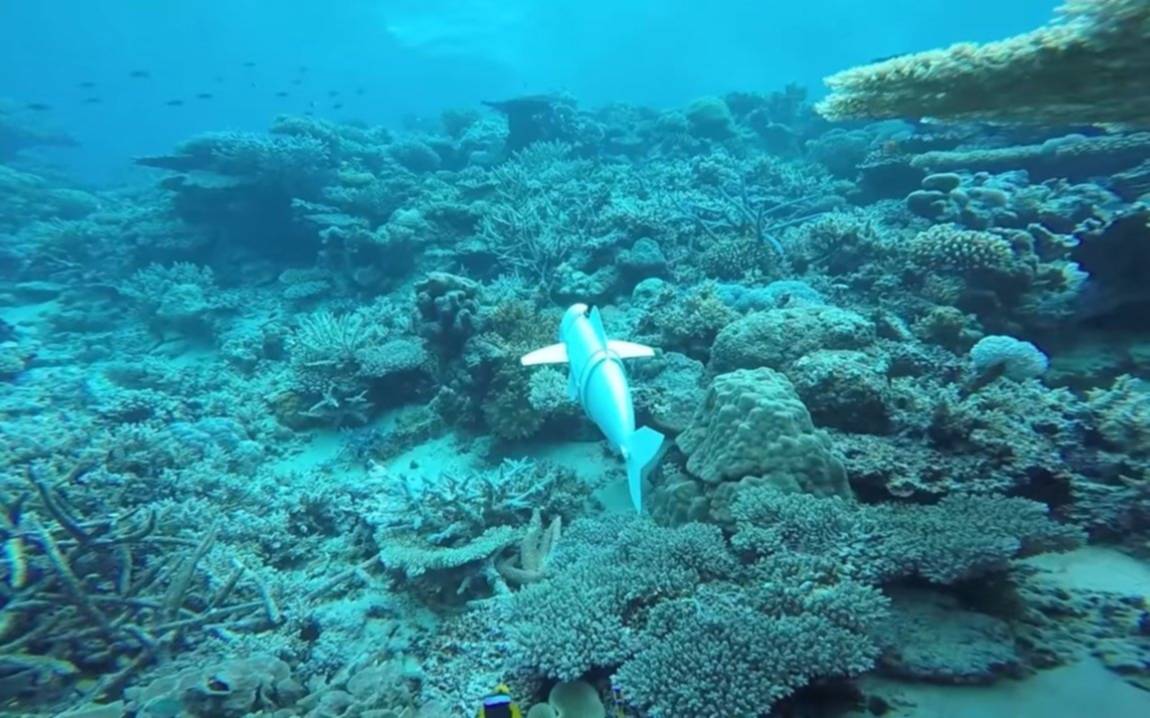 Crean un pez robótico para realizar investigaciones en el fondo del mar