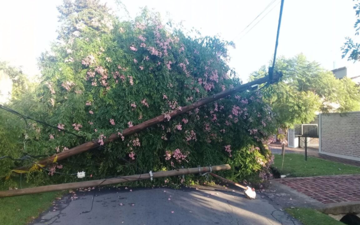 Tránsito restringido y un barrio sin luz por la caída de un árbol en Villa Elisa