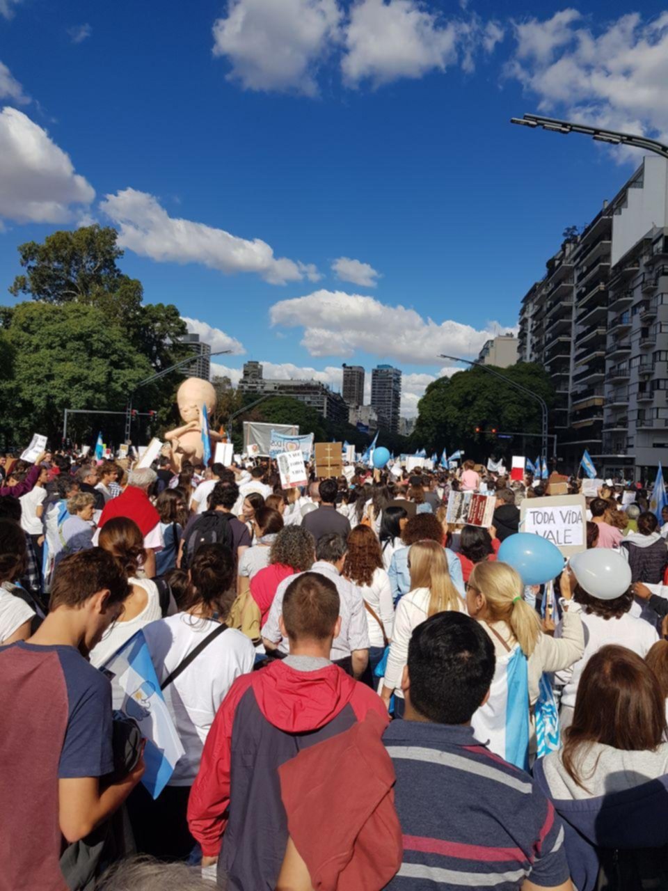 Alma, la “beba” platense que asombró al país en la marcha contra el aborto