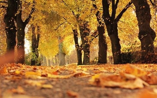 Martes veraniego en pleno otoño