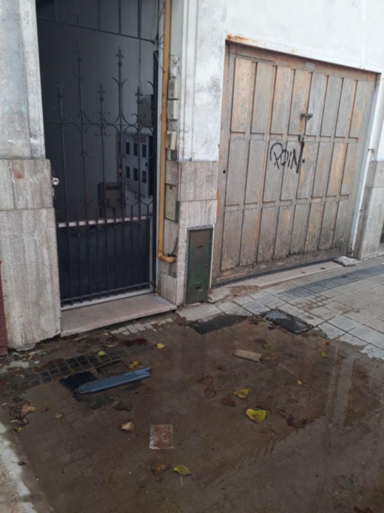 Una laguna en la vereda de 115 entre 40 y 41