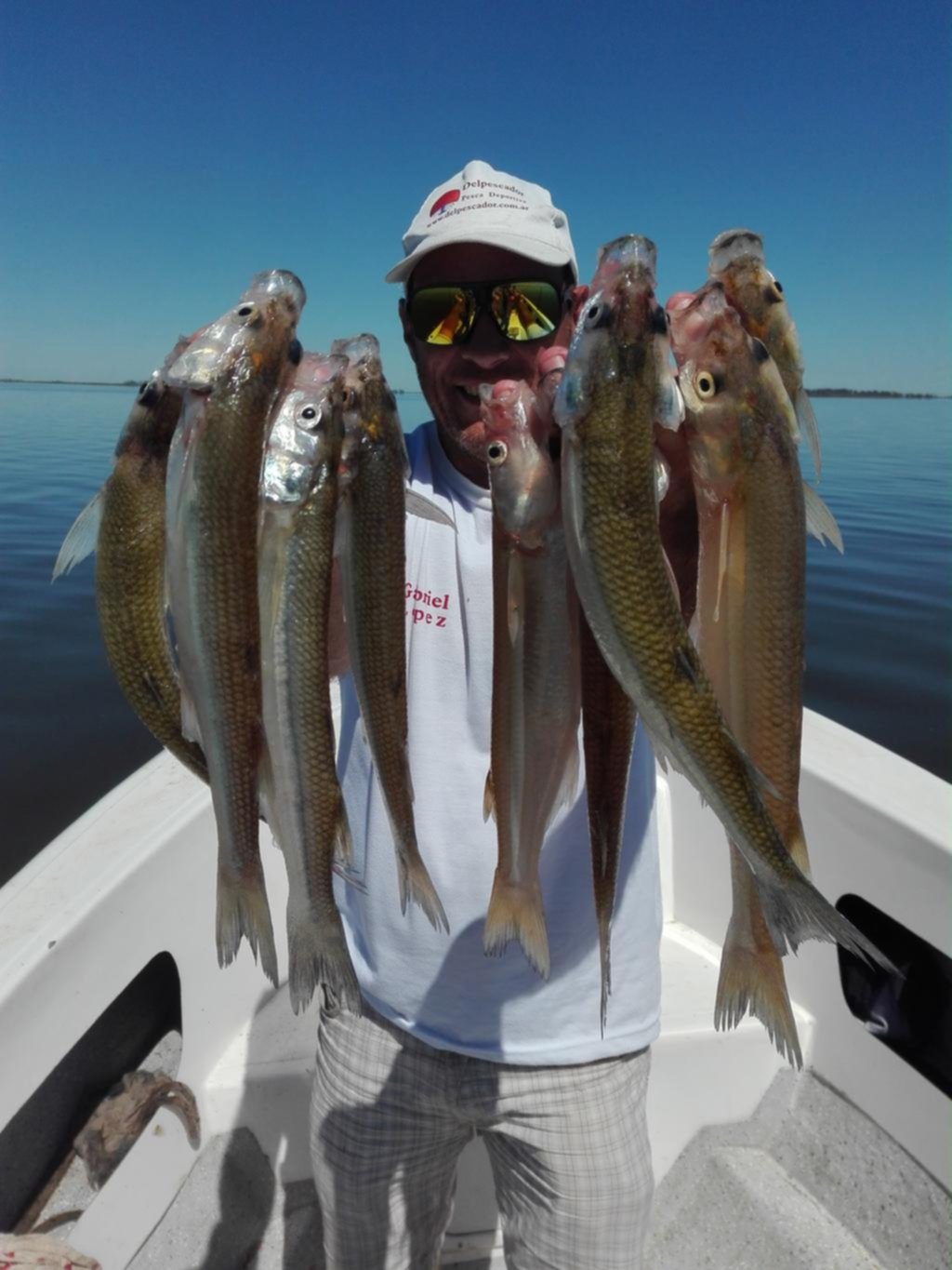Arrancó la etapa de los pejerreyes, la preferida por la mayoría de los pescadores