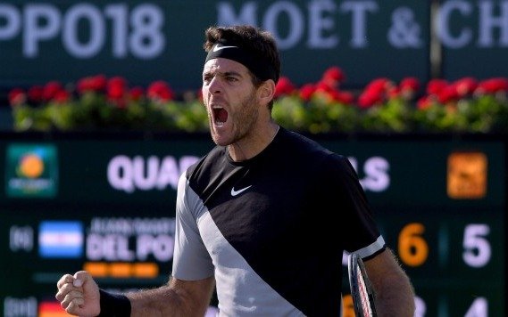 Del Potro dijo tener "dolores por todos lados" pero igual está feliz