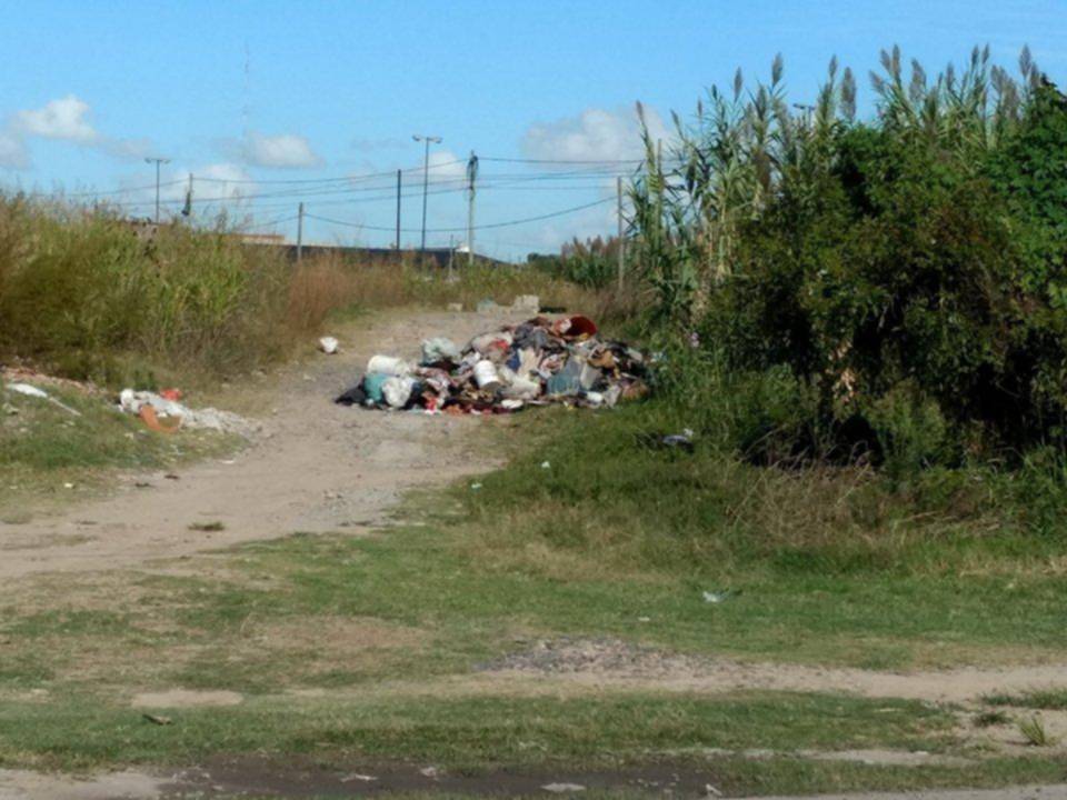 Falta de recolección en la zona de 19 y 520