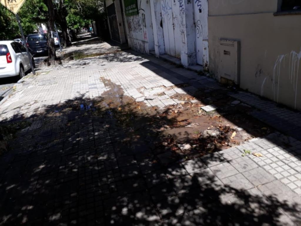 Tres viviendas jaqueadas por una filtración en 41 y 5