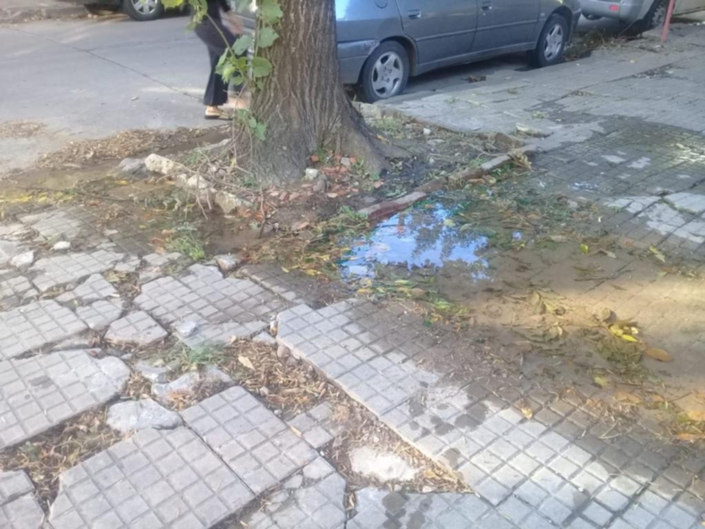 Siguen las quejas por una vereda que parece un pantano por las filtraciones