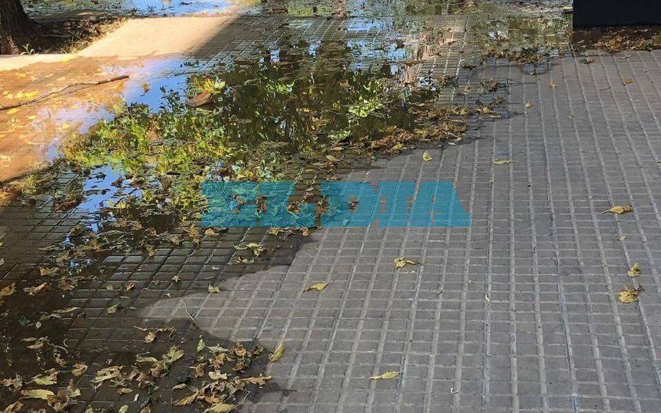 Abundante pérdida de agua en 40 entre 8 y 9