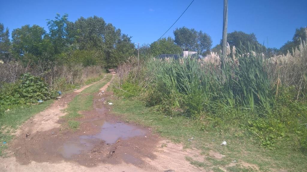 Piden la limpieza de un terreno en 5 bis y 620