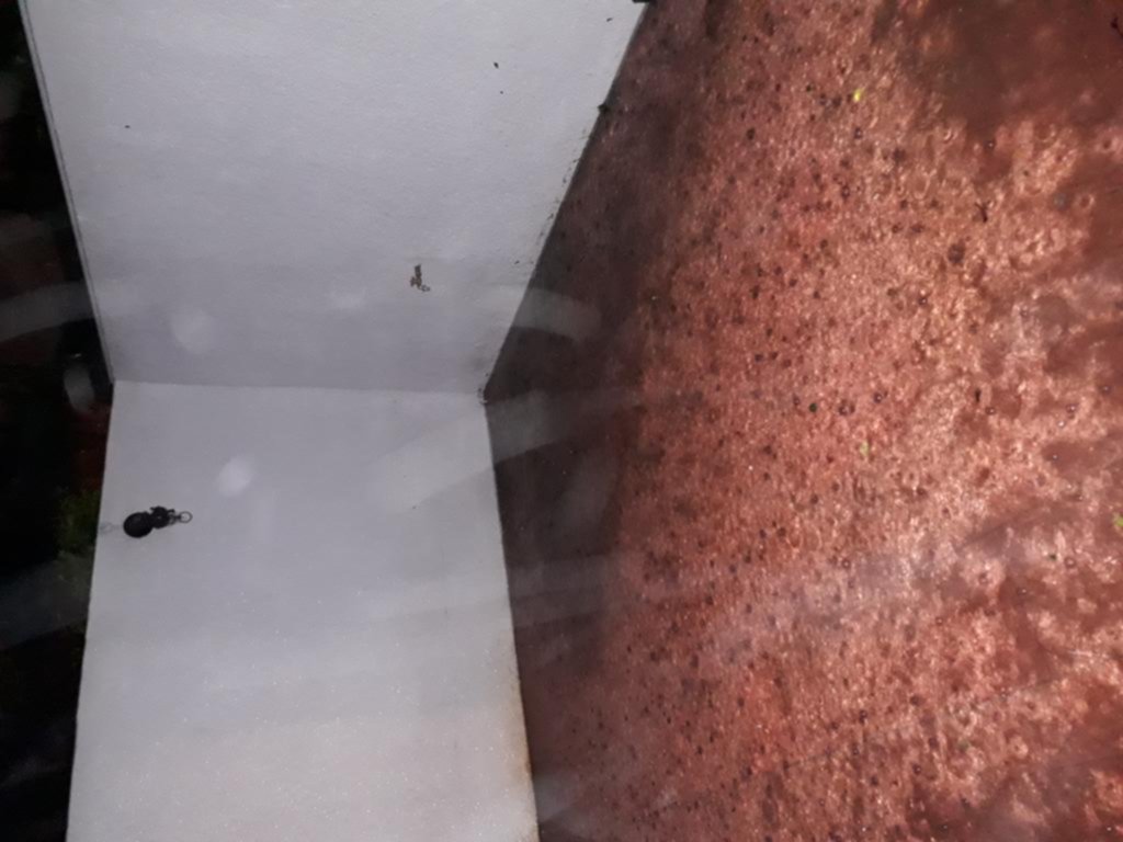Líquido cloacal inundó una vivienda en 49 y 131