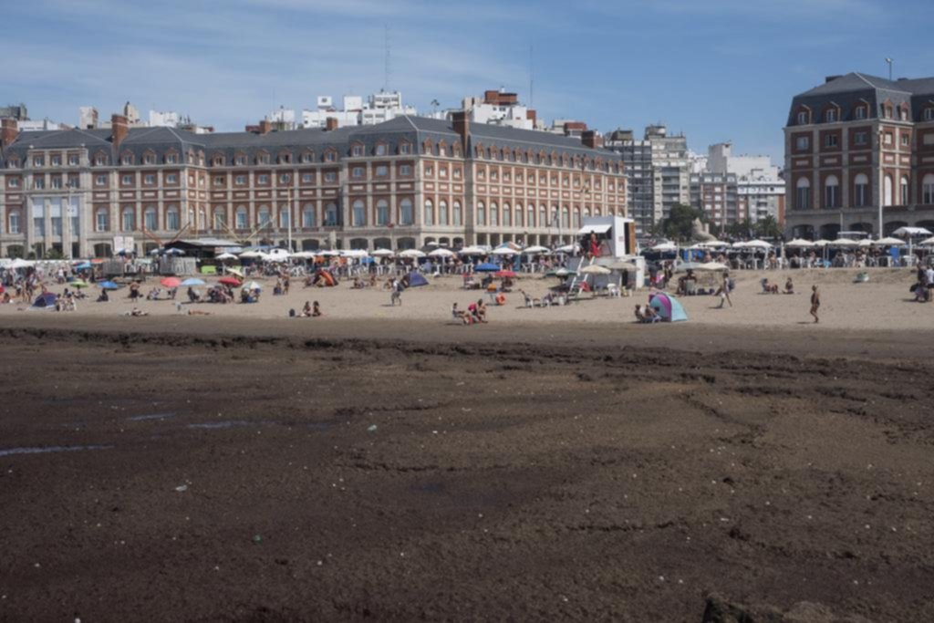 Una invasión de algas alejó a los bañistas en Mar del Plata