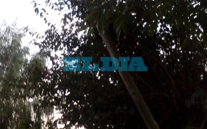 Basura sin recoger y poste "a punto de caer" en 527 y 134