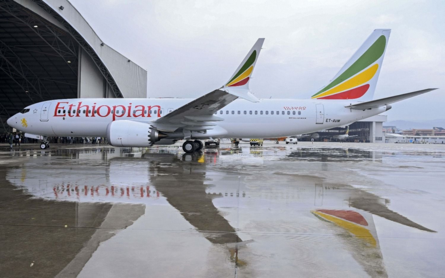 Cayó un avión en Etiopía y murieron las 157 personas que iban a bordo