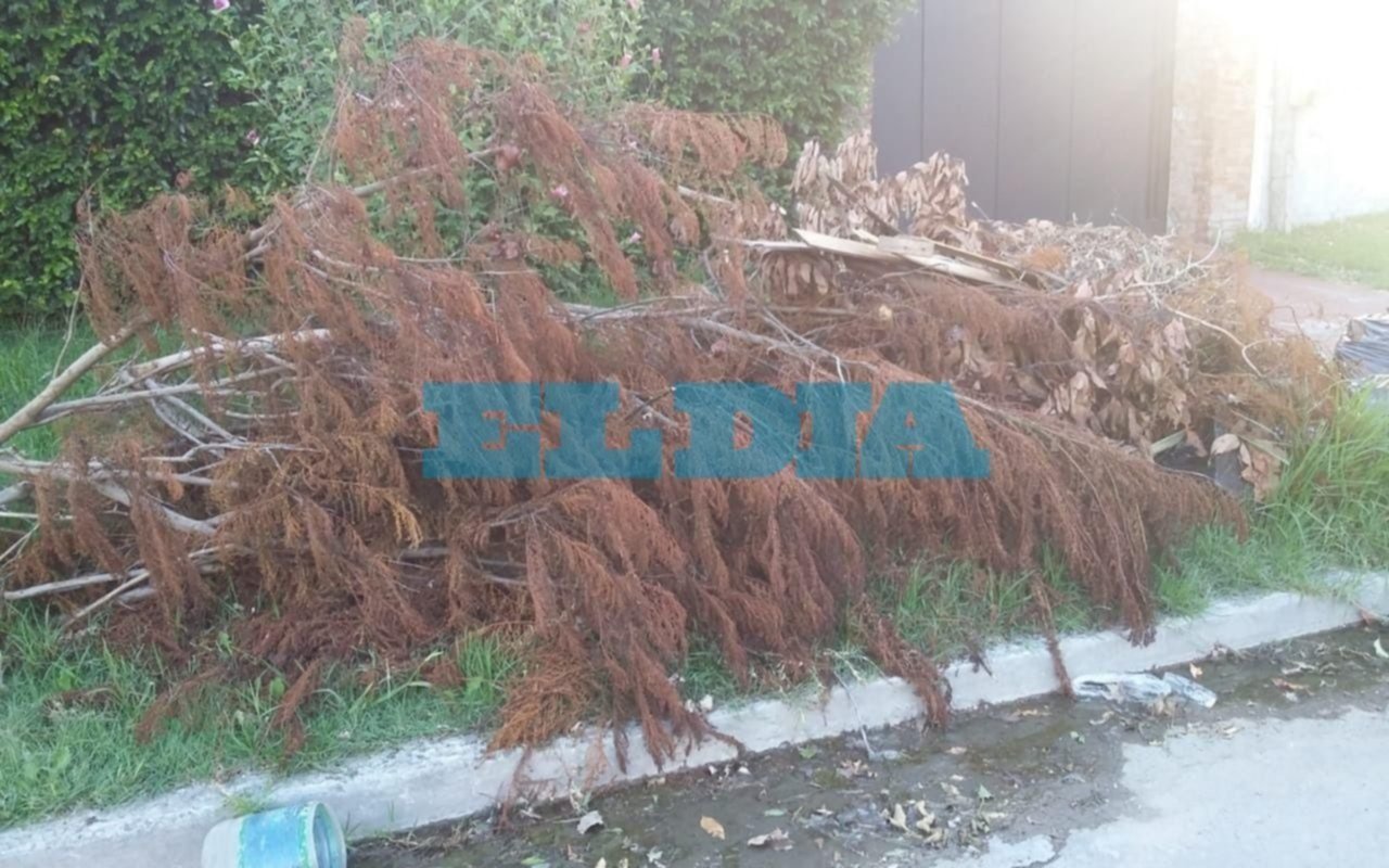 Ramas y basura en zona de San Carlos