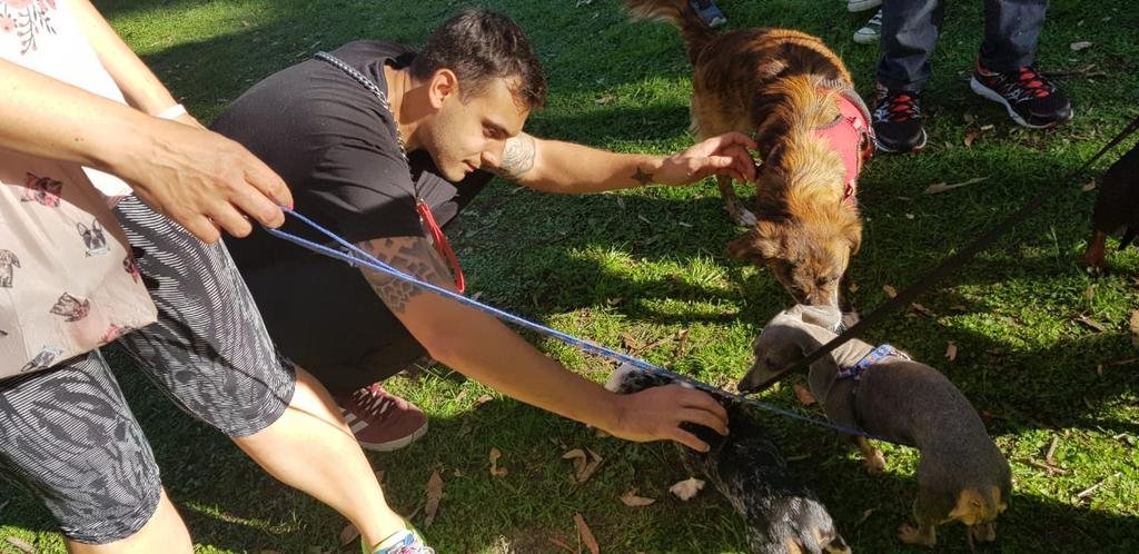 Encuentro “salchicha” en el Parque Saavedra