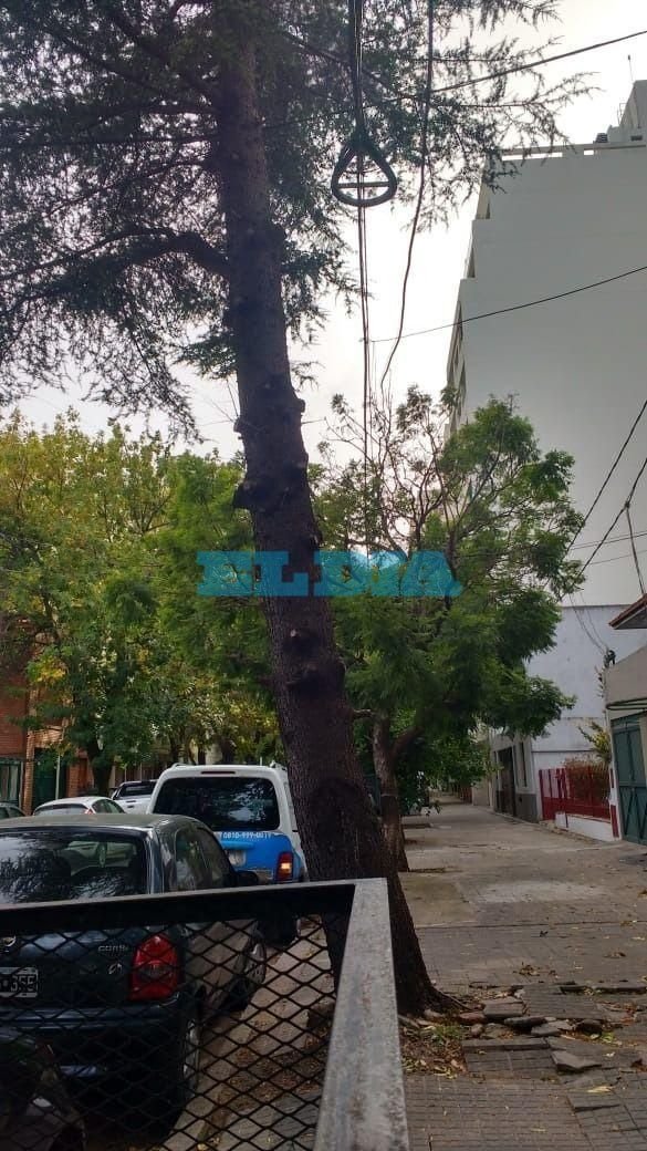 Advierten por un árbol inclinado en 39, 10 y 11