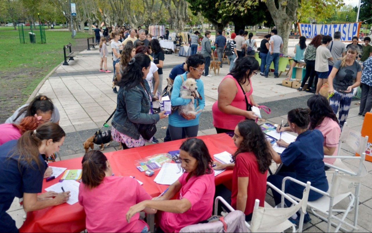 ONG's protectoras de animales podrán participar de un circuito de ferias