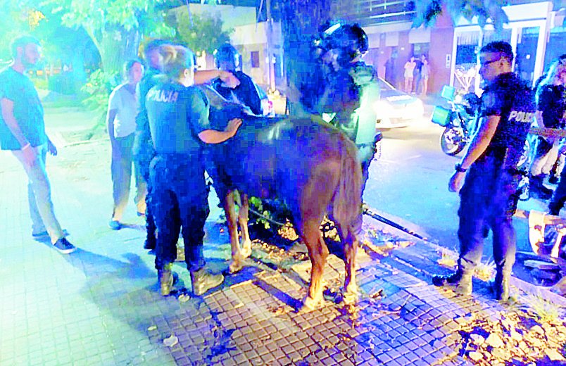 Andaban borrachos, con un caballo maltratado y atacaron a un policía
