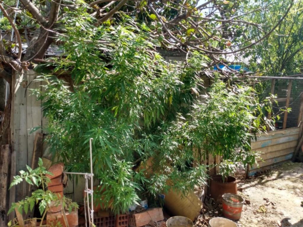 A los 77, detenido por amenazas y droga