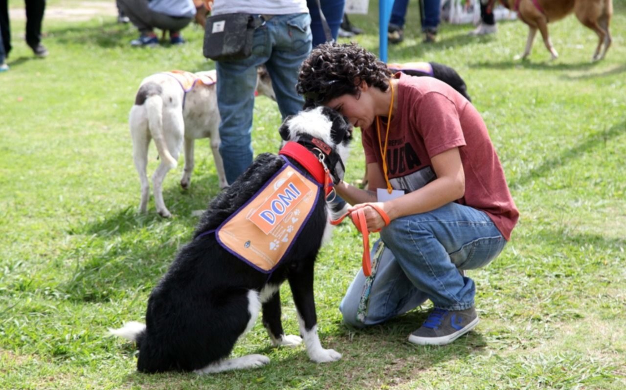 Más de 10 mil personas participaron del Festival de adopción de mascotas en la Repu