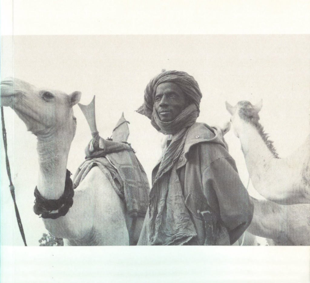 Los tuaregs, en un libro
