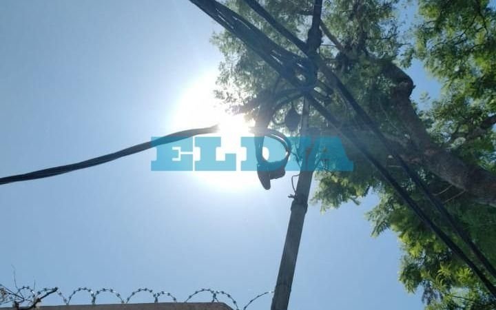 Temor por rama caída sobre tendido eléctrico en 11 y 34