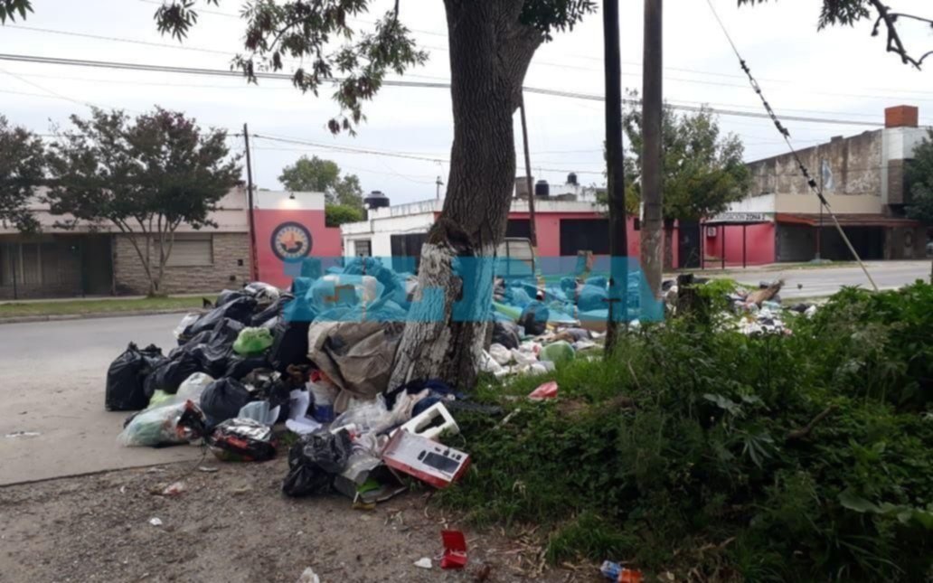 Una montaña de basura se convirtió en hogar para roedores en Montevideo y 43