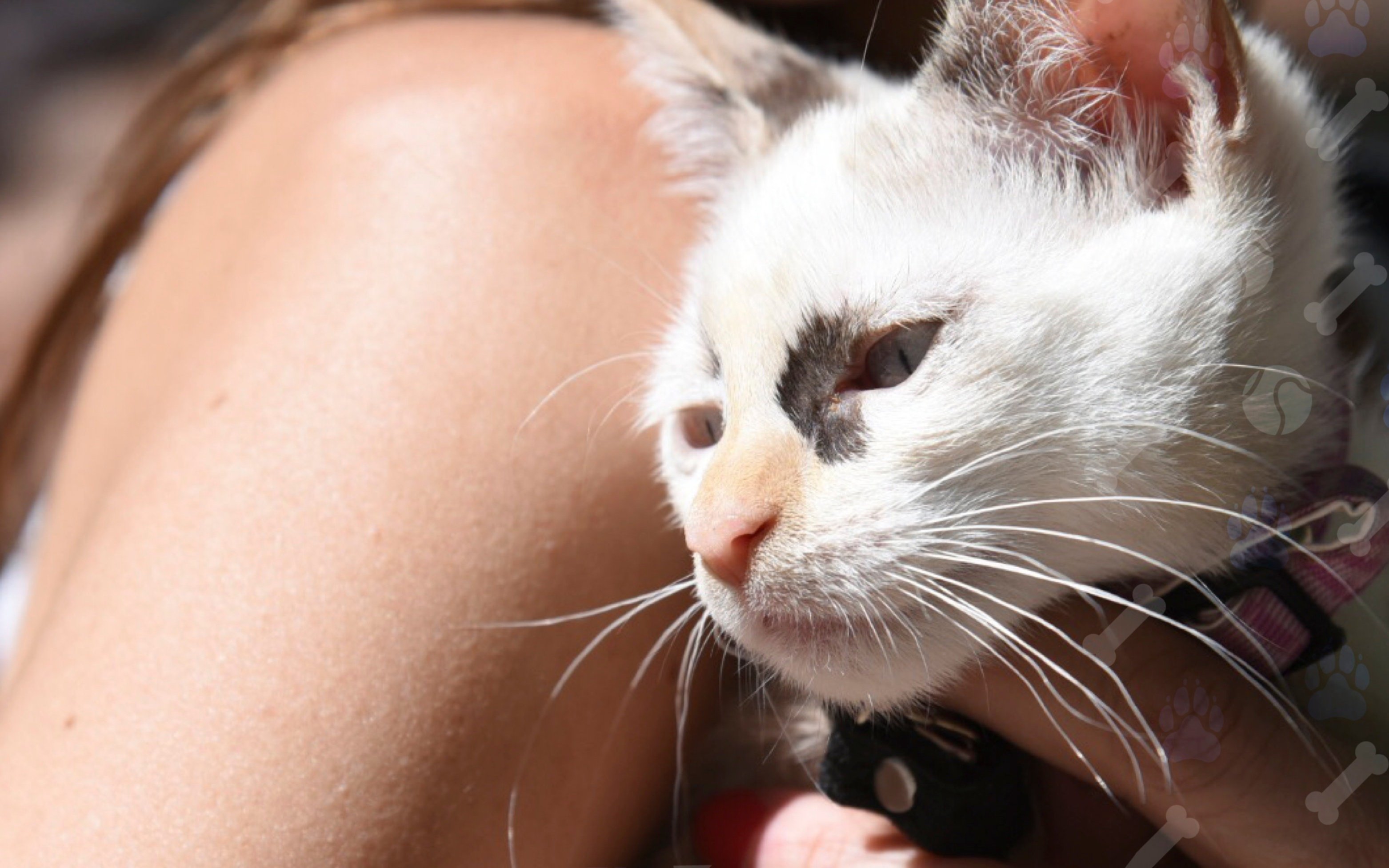 El consultorio veterinario móvil y gratuito llega a Melchor Romero