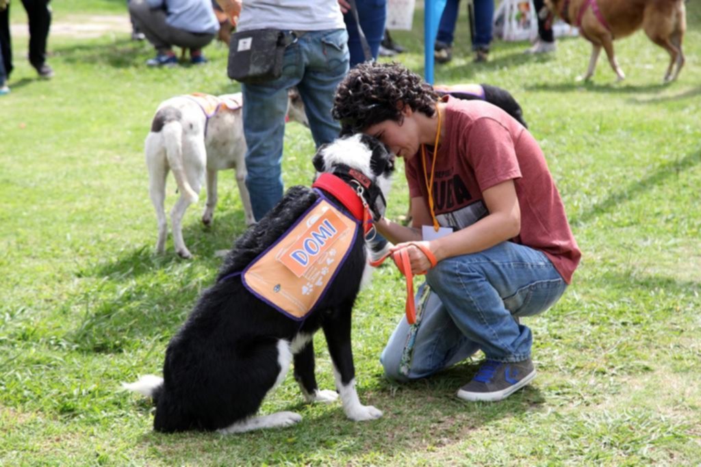 Amor animal: las mascotas tuvieron su gran jornada
