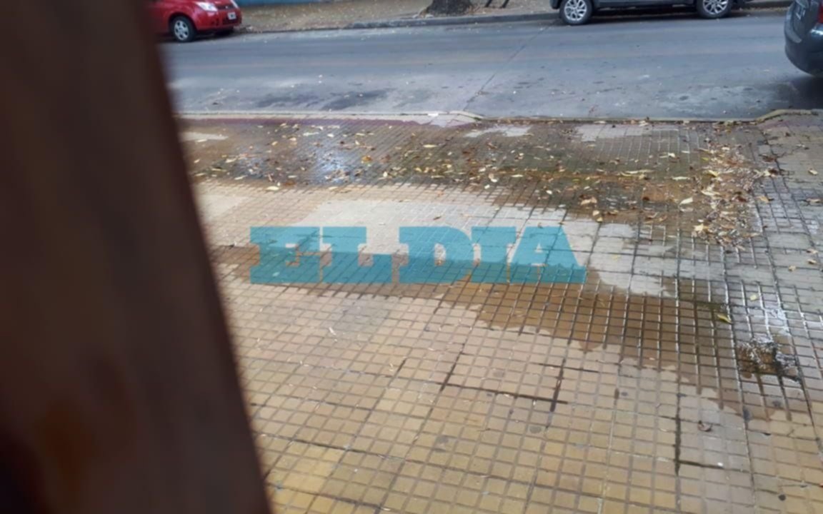 Malestar por vereda "inundada" por una pérdida en 20 entre 38 y 39