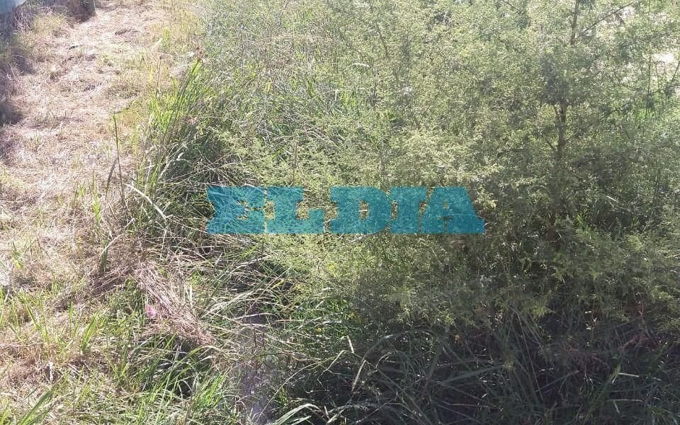 Pastizales y agua estancada en sector de Sicardi