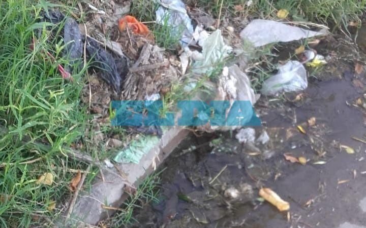 Preocupación por basural en 49 entre 141y 142