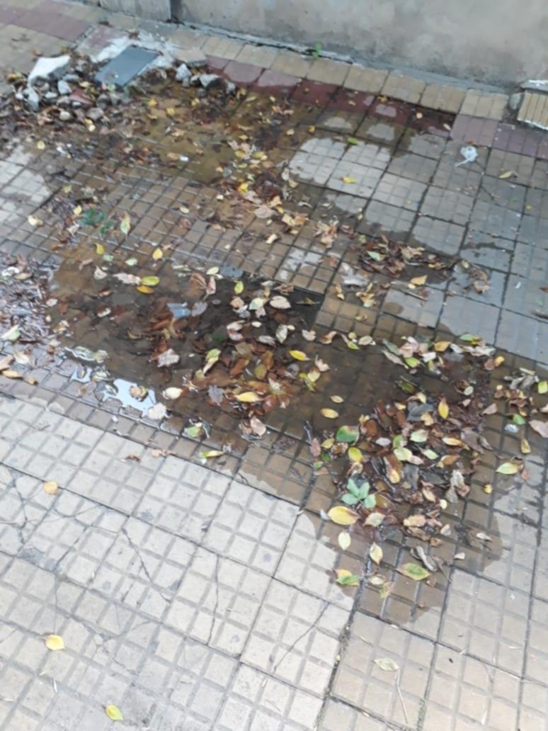 Pérdida de agua y vereda floja en el barrio La Loma
