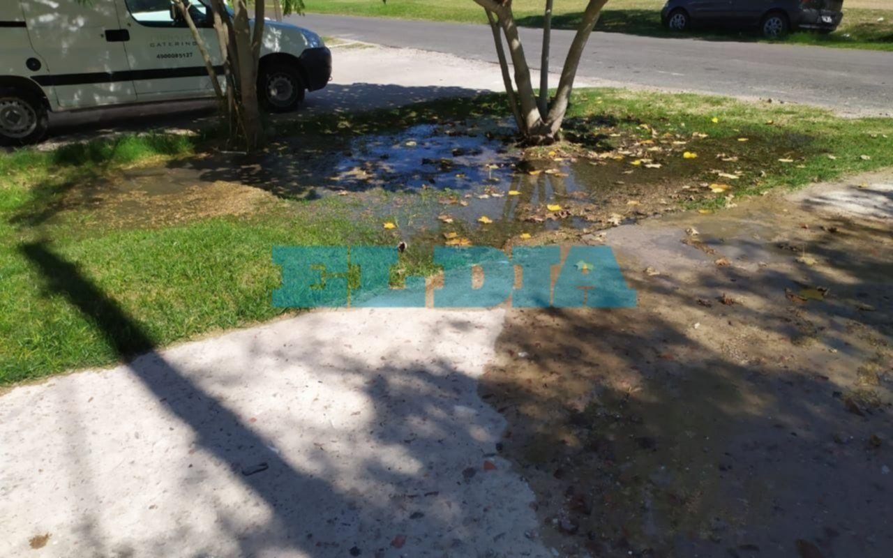 Caudalosa pérdida de agua por caño roto en 11 y 517