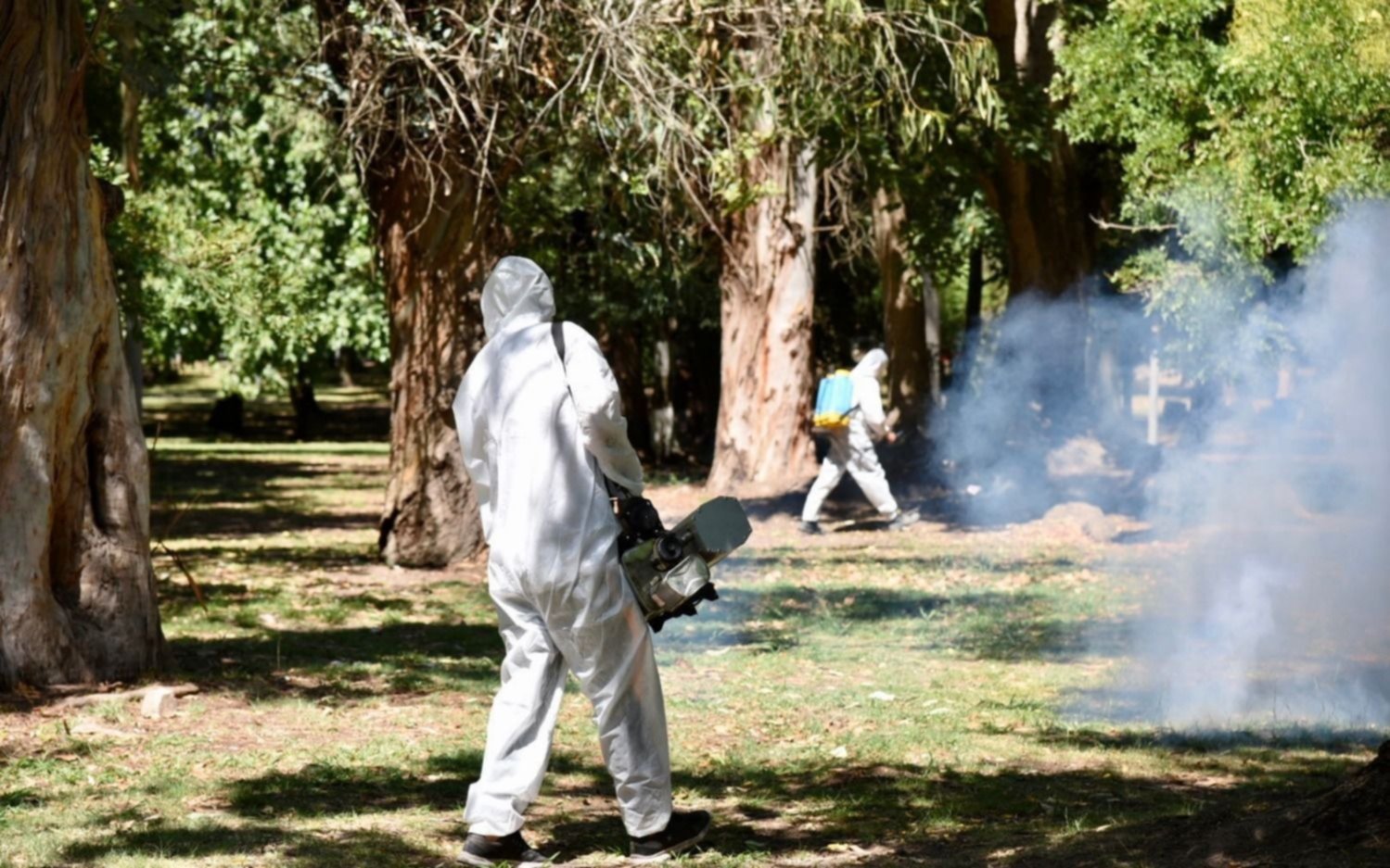 Continúan las tareas de fumigación en el distrito