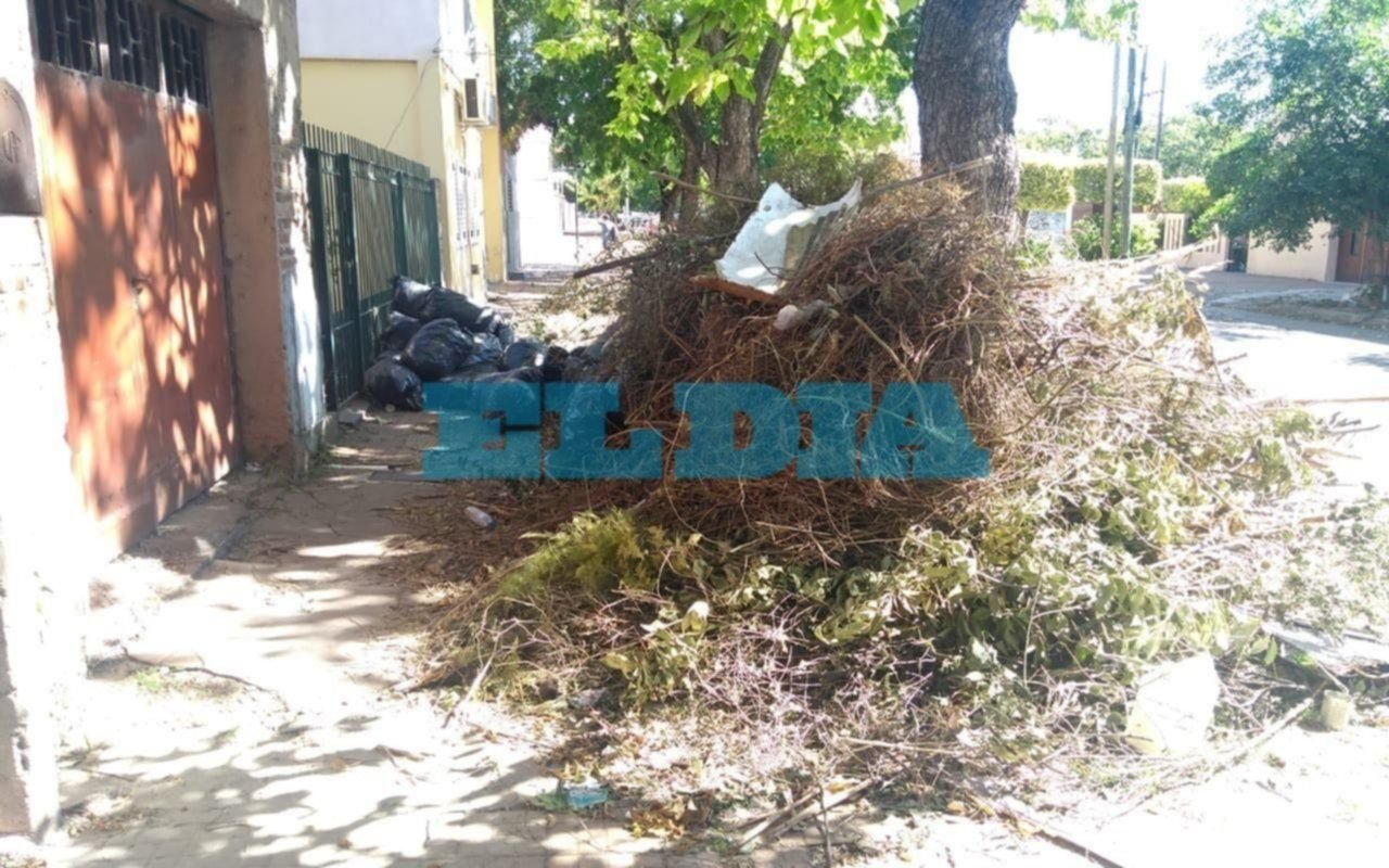 Basura y ramas impiden el paso en 40 entre 20 y 21