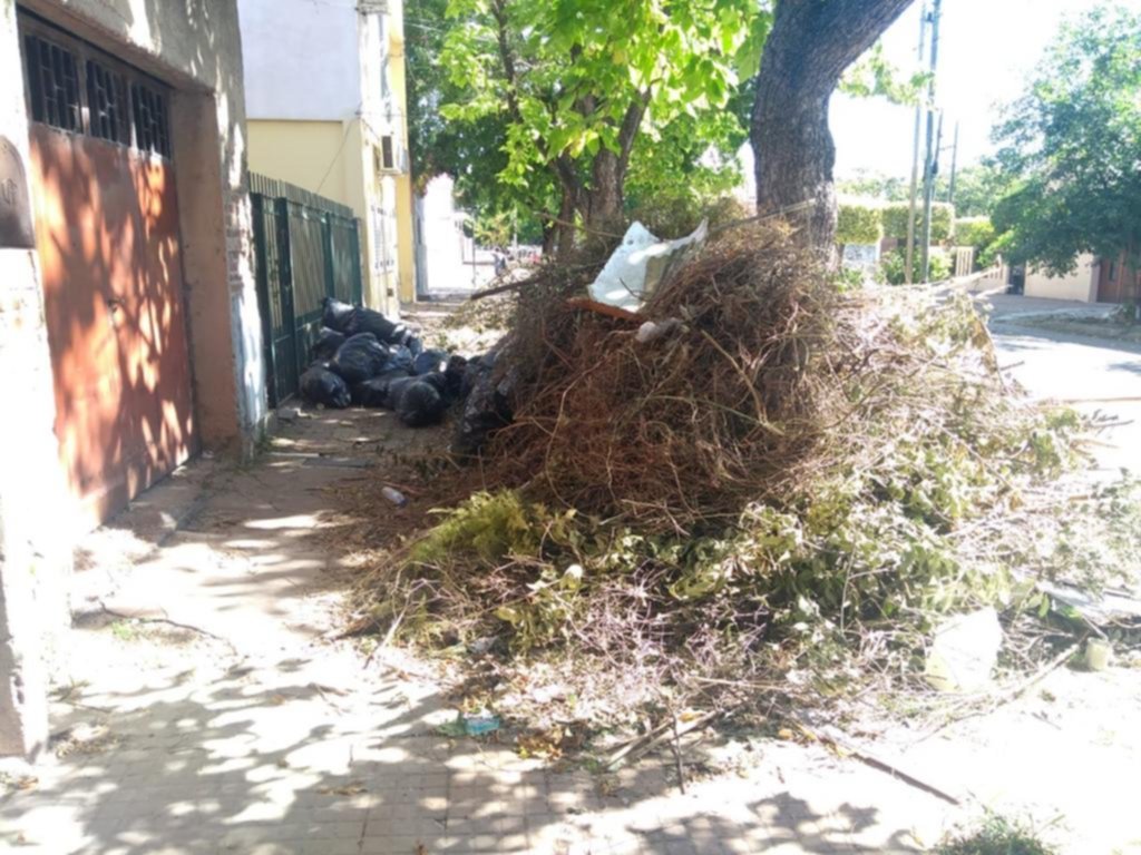 Basura y ramas impiden el paso en 40 entre 20 y 21
