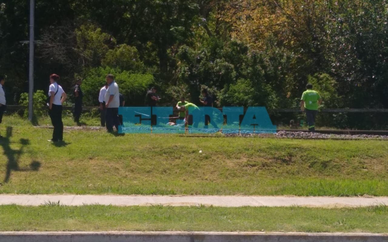 Jornada complicada para los usuarios del tren Roca por dos accidentes