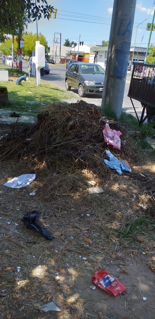 Un inmenso basural se formó cerca de una escuela