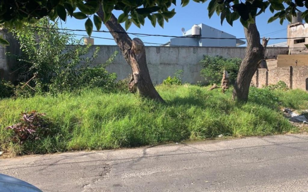 Pastos altos, pozos y agua estancada en 78 bis y 5