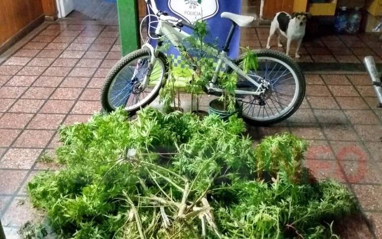 Cuatro allanamientos en El Mercadito: armas, balas, chalecos y plantas de marihuana