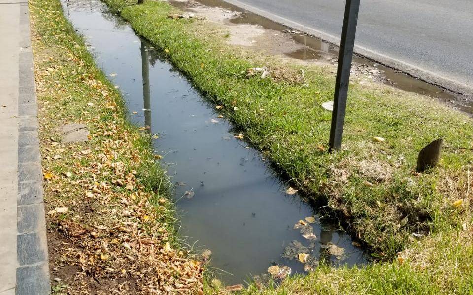 Reclamo por una “pileta” de agua estancada en Gonnet