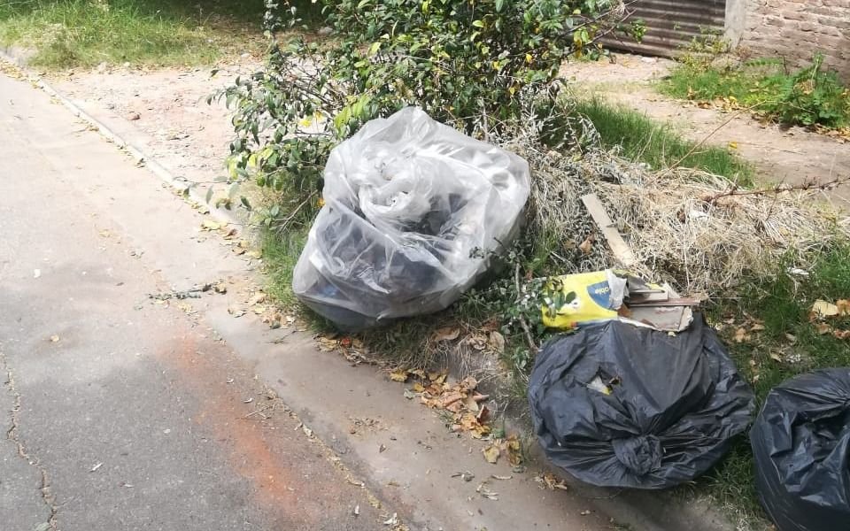 Ramas, pastos, bolsas y roedores en vereda de City Bell