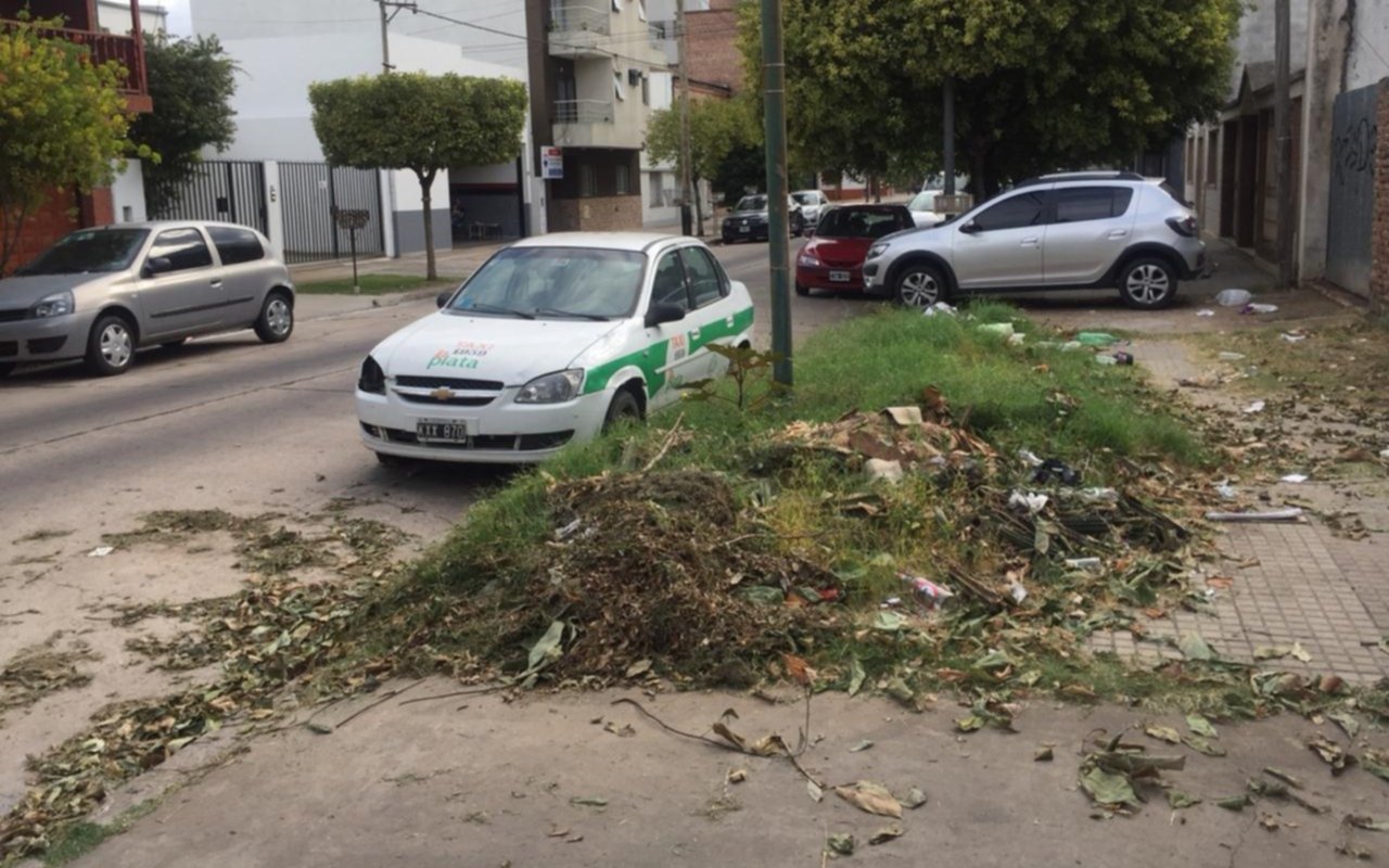 Advierten por una "montaña" de ramas y hojas en vereda de La Loma