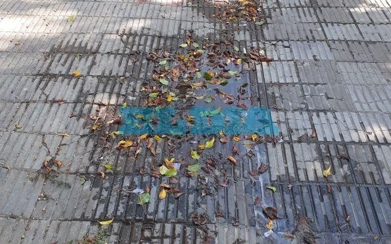Malestar por aguas servidas en 115 entre 529 y 530