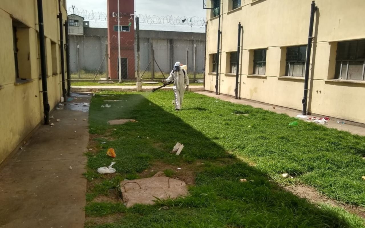 Profundizan las tareas de prevención del dengue en las cárceles bonaerenses