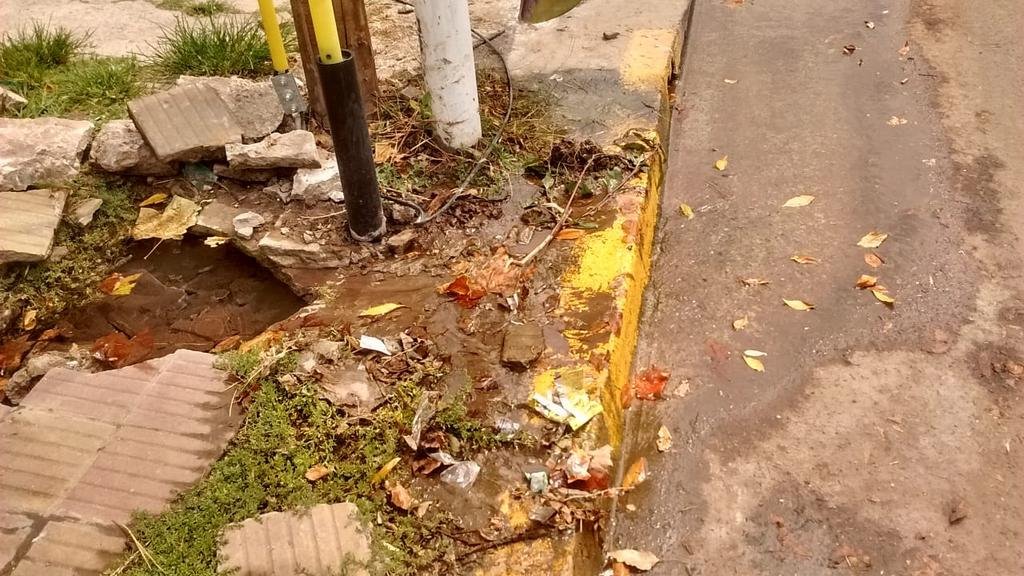Dos meses de reclamos sin solución en 19, 59 y 60