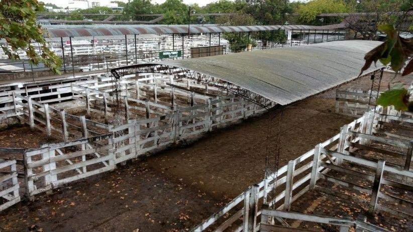El Gobierno criticó a entidades del campo por el paro, que se sintió fuerte en Liniers