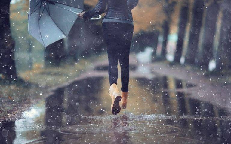 Llegaron las lluvias