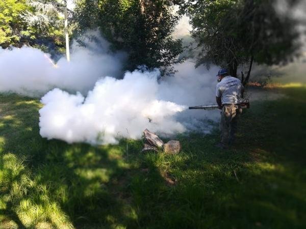 Dengue: se sumó un caso en La Plata y por la lluvia piden extremar recaudos