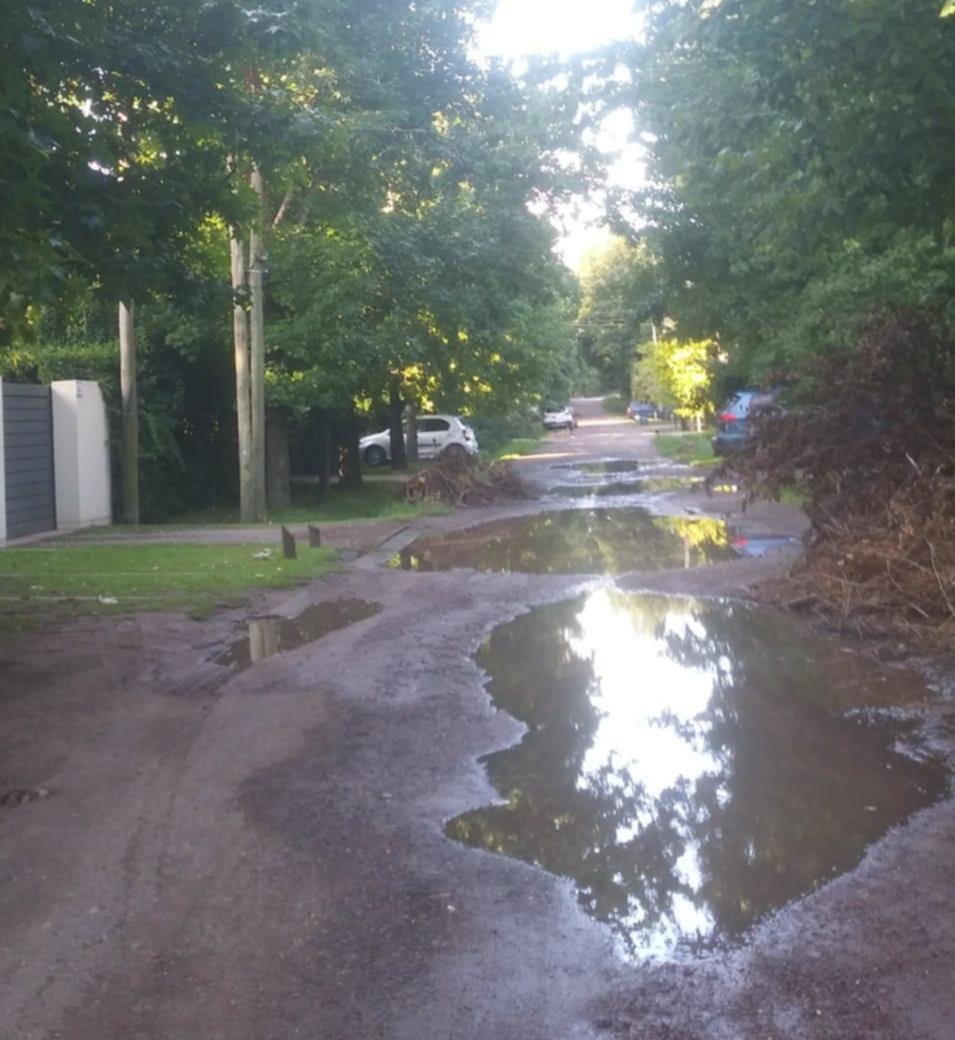 “Laguna” en plena calle de Villa Elisa